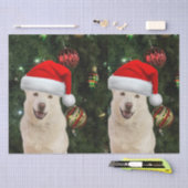 Santa Paws - Kristal the Husky Dog Kerstmis Tissuepapier (Craft)