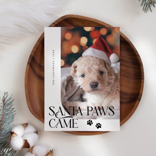 Santa Paws Kwam Hond Foto Witte Kerst Feestdagenkaart