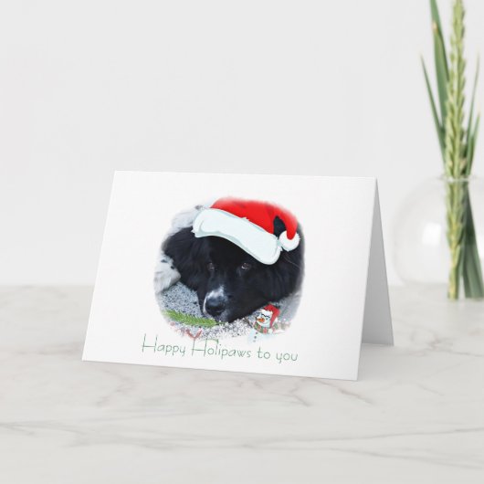 Santa Paw's Newfoundland Vakantiegiften Feestdagen Kaart (Voorkant)