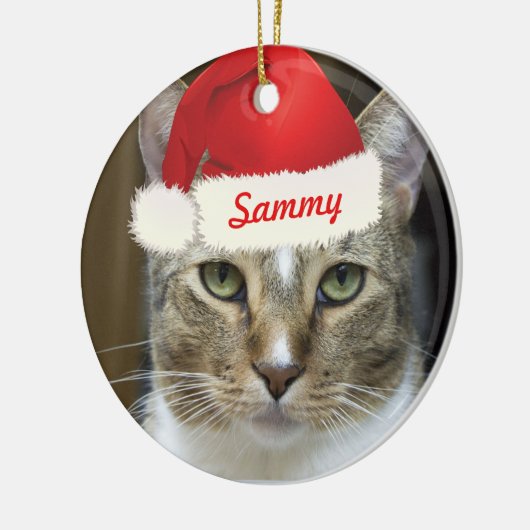 Santa Paws Ornament (Links)