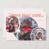 Santa Paws Peach Dog Foto Vakantie Kaart (Voorkant)
