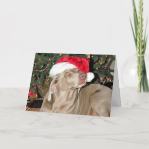 Santa Paws - Regen (alias Raina) Feestdagen Kaart