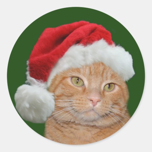 Santa Paws Ronde Sticker (Voorkant)