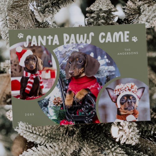Santa Paws Sage Green Dog Foto Vakantie Kaart