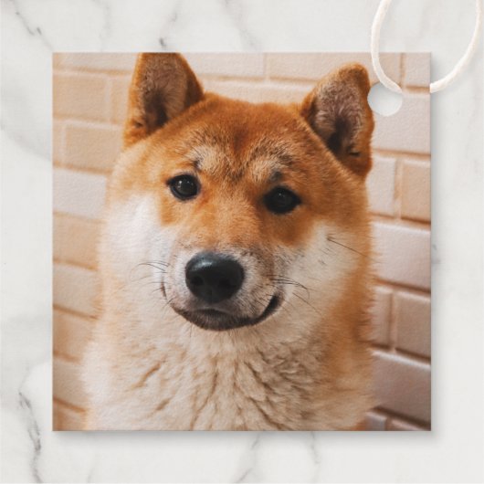 Santa Paws - schattig vakantiegeschenk label van d (Achterkant)