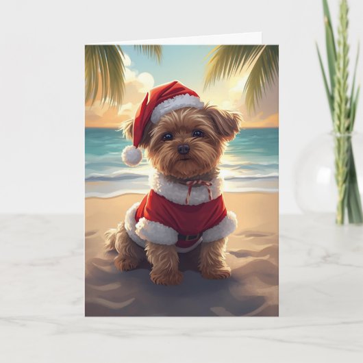 Santa Paws Takes the Beach – Shih Tzu Christmas Kaart (Voorkant)