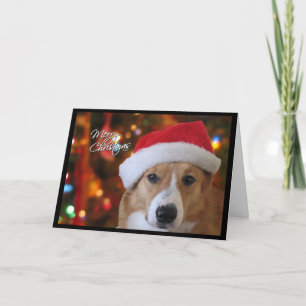 Santa Pembroke Welsh Corgi-kerstkaart Feestdagen Kaart