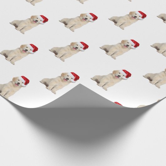 Santa Pet op papier met gouden rivierbedding (Hoek)