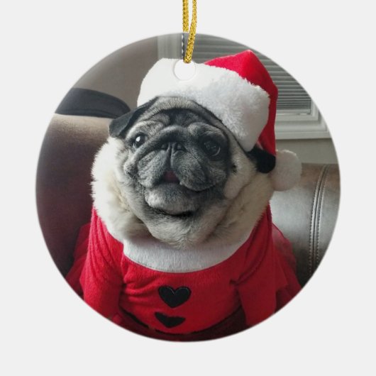 Santa Pickles Ornament (Voorkant)