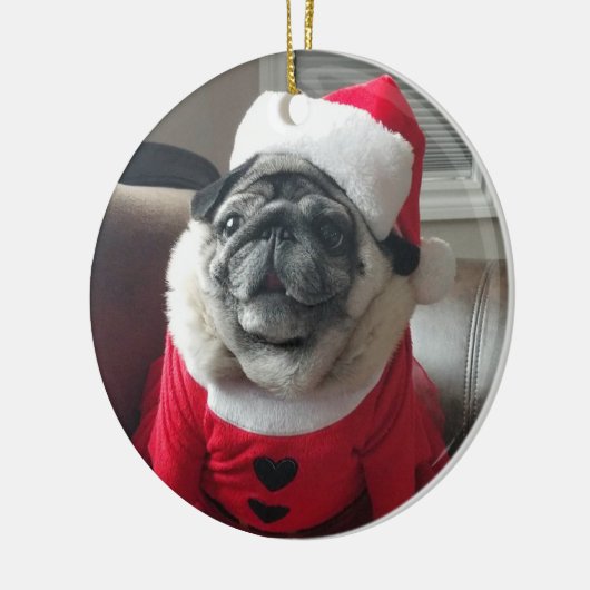 Santa Pickles Ornament (Links)