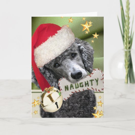 Santa poedel stoute of leuke Kaarten (Voorkant)