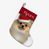 Santa Pommeren Kleine kerststop Kleine Kerstsok (Voorkant (Hangend))