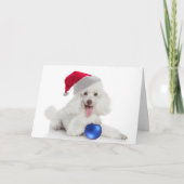 Santa Poodle Kaart (Voorkant)