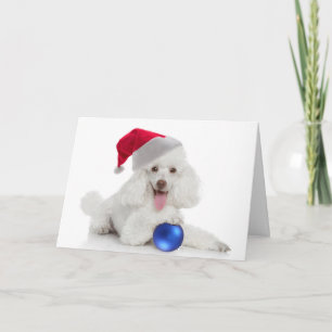 Santa Poodle-kaart Feestdagen Kaart