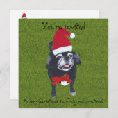 Santa Pug, Kerstmis in juli Uitnodiging (Voorkant / Achterkant)