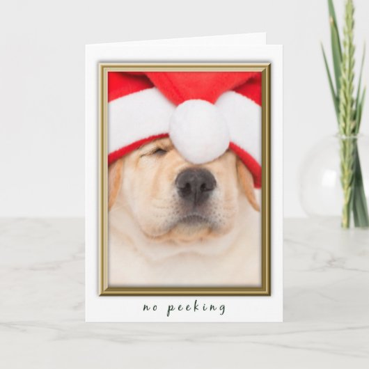 Santa Puppy Geen Peking Feestdagen Kaart (Voorkant)