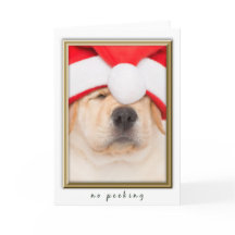Santa Puppy Geen Peking