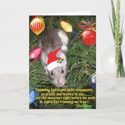 Santa Rat Kaart (Voorkant)