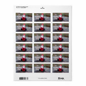 Santa Return-adreslabel, miniatuurcaring Etiket (Full Sheet)