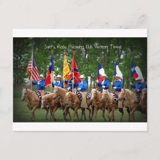 Santa Rosa Palomino Club Vernon, Texas Briefkaart (Voorkant)