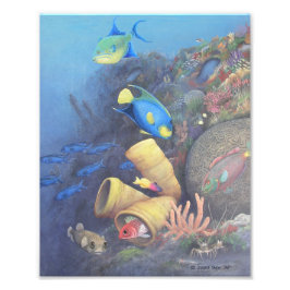 Santa Rosa Wall 1 Fine Art Print Foto Afdruk