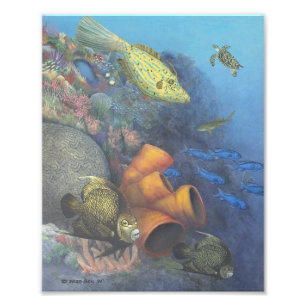 Santa Rosa Wall 2 Fine Art Print Foto Afdruk