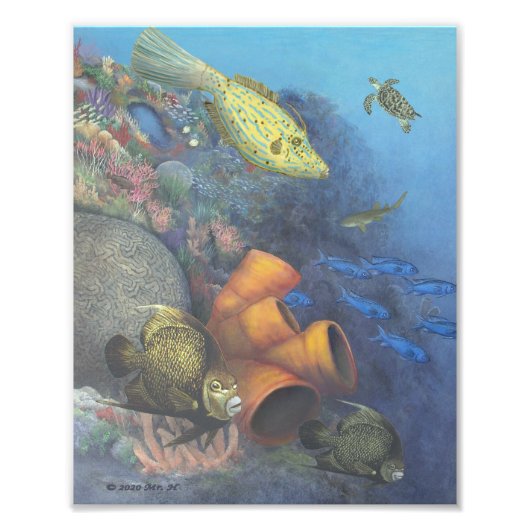 Santa Rosa Wall 2 Fine Art Print Foto Afdruk (Voorkant)