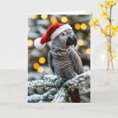 Santa’s Little African Grey Helper  Kaart (Gele Bloem)
