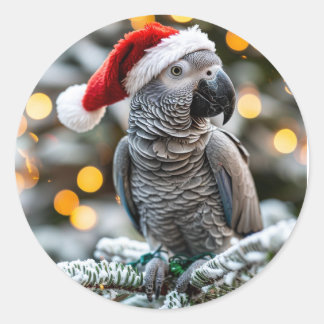 Santa’s Little African Grey Helper  Ronde Sticker