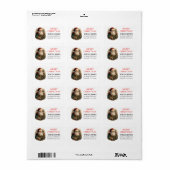 Santa  Schattigee vrolijke kerstwensen Etiket (Full Sheet)