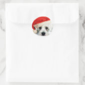 Santa Schnauzer Sticker (Tas)