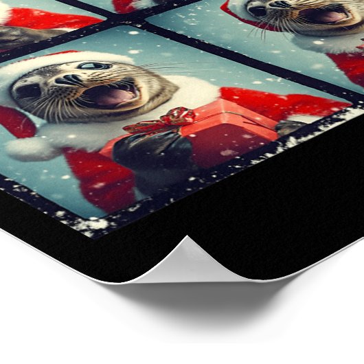 Santa Seal Ocean Animal Photography Zee Lion Chris Poster (Hoek)