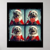 Santa Seal Ocean Animal Photography Zee Lion Chris Poster (Voorkant)