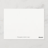 Santa Shih Tzu Girl Briefkaart (Achterkant)