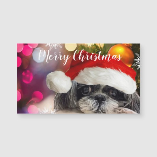 Santa Shih Tzu-kerstkaart (Voorkant)