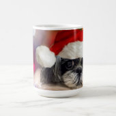 Santa Shih Tzu Mok (Center)