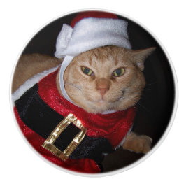 Santa Sinaasappel Tabby Kat Knop
