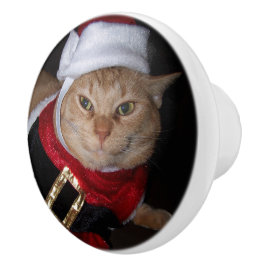Santa Sinaasappel Tabby Kat Knop