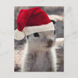Santa Squirrel Briefkaart