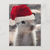 Santa Squirrel Briefkaart (Voorkant)
