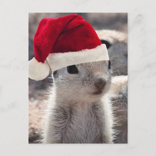 Santa Squirrel Briefkaart (Voorkant)