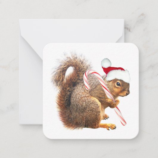 Santa Squirrel Gift Labels Notitiekaartje (Voorkant)