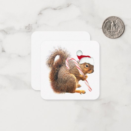 Santa Squirrel Gift Labels Notitiekaartje (Voorkant / Achterkant in situ)