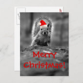Santa Squirrel Merry Christmas Briefkaart (Voorkant / Achterkant)