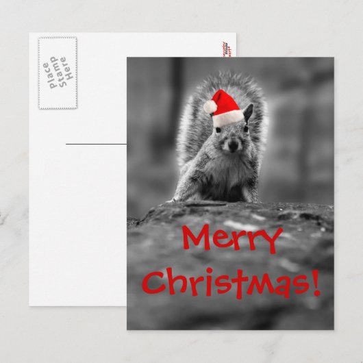 Santa Squirrel Merry Christmas Briefkaart (Voorkant / Achterkant)