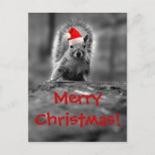 Santa Squirrel Merry Christmas Briefkaart (Voorkant)