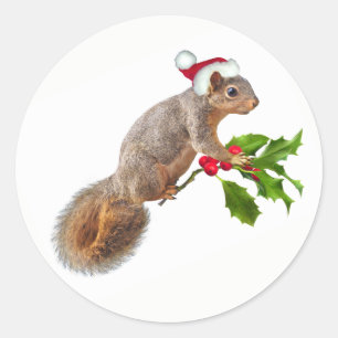 Santa Squirrel met Holly Kerst stickers