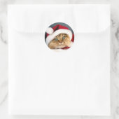 Santa Tabby Cat Classic Ronde Sticker (Tas)