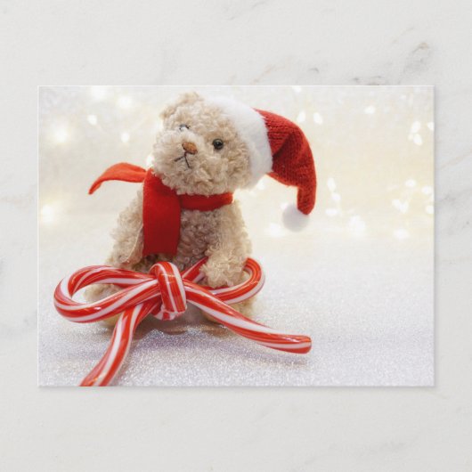 Santa Teddy Bear Briefkaart (Voorkant)