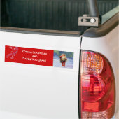 SANTA VAN DE GNOMES BUMPERSTICKER (Op Truck)